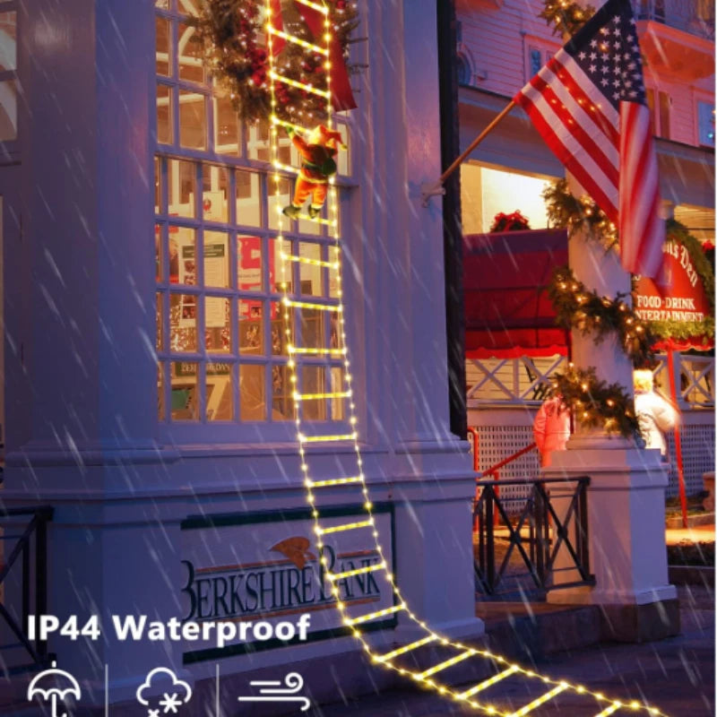 Santa Climbing Ladder Light